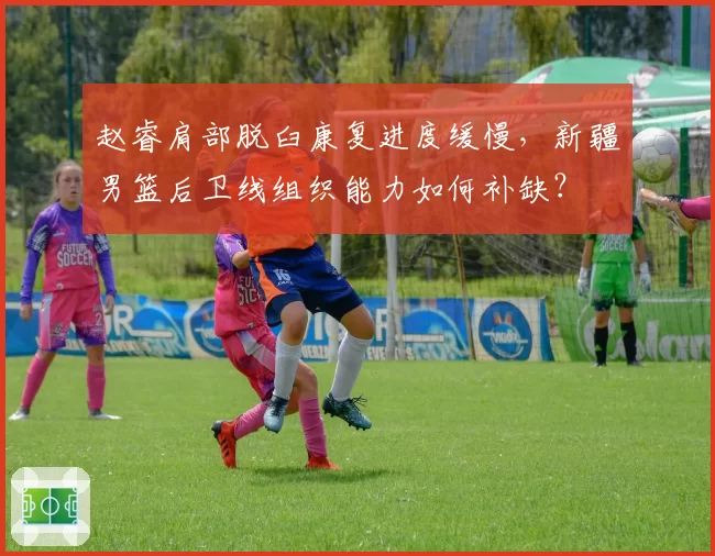 赵睿肩部脱臼康复进度缓慢,新疆男篮后卫线组织能力如何补缺?