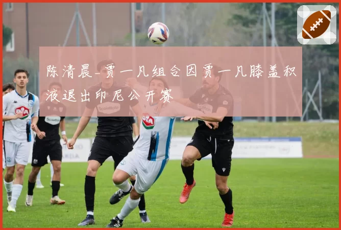 陈清晨_贾一凡组合因贾一凡膝盖积液退出印尼公开赛