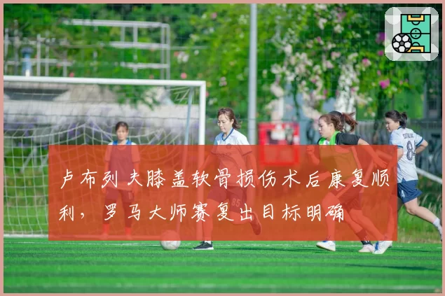 卢布列夫膝盖软骨损伤术后康复顺利,罗马大师赛复出目标明确