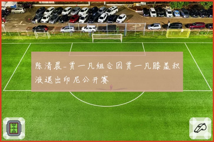 陈清晨_贾一凡组合因贾一凡膝盖积液退出印尼公开赛