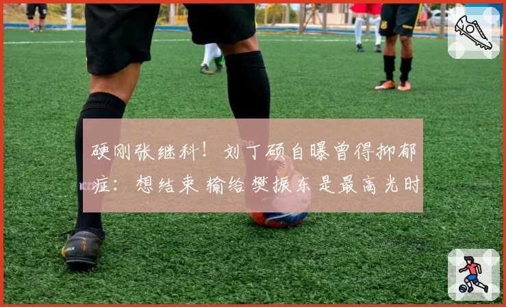 硬刚张继科!刘丁硕自曝曾得抑郁症:想结束 输给樊振东是最高光时刻